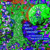 In The Lee Of The Witch's Tree