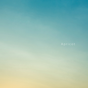 Apricot