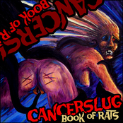 Book of Rats