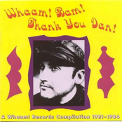 Whaam! Bam! Thank You Dan! - A Whaam Records Compilation 1981-1984