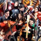 caçarola orquestra de baixos