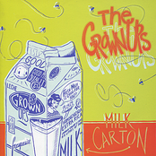 Milk Carton by The Grown-ups