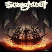 Nocturnal born vehemence