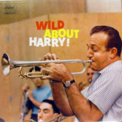 harry james - trumpet blues: the best of harry james