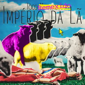 Tôco Remexido