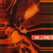 Loa Do Boi Meia-noite