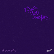 Take You Home