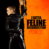 Feline Resurrection - Single