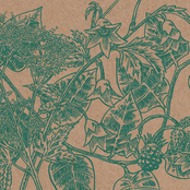 The Greenhouse Phenomenon (Live at Stavanger)