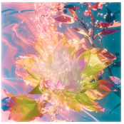 mother :;~ rebirth
