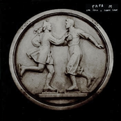 Live From a Shark's Cage