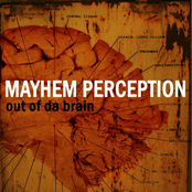 mayhem perception