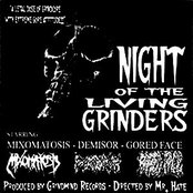 Night of the Living Grinders 3-way Split CD