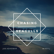 Chasing Seagulls