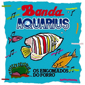 Os Engomados do Forró