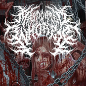 Dead Chicks On Our Dicks