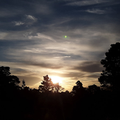 Dawn Treader (Golden Hour - Volume 5)