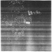 The Everyday as Impenetrable, The Impenetrable as Everyday