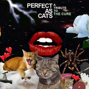 Perfect as Cats: A Tribute to the Cure