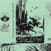 Caught Within The Dreaming Pines II