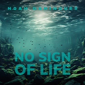 No Sign of Life