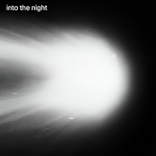 Into the Night