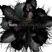 Here Comes The Flood by Burn