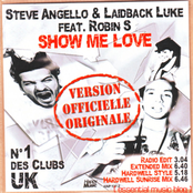 robin s vs steve angello & laidback luke