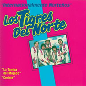 Cande Romero by Los Tigres Del Norte