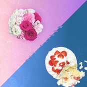 数%のハッピーエンド