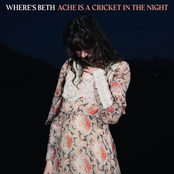 Ache Is A Cricket In The Night