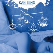 Kaki King: Dreaming Of Revenge