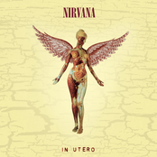 Heart-shaped Box by Nirvana