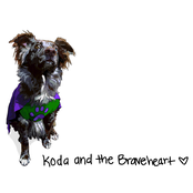 koda and the braveheart