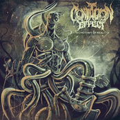 Dichotomy Of Reality