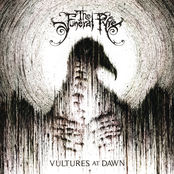 Seeking Flesh And Bone by The Funeral Pyre