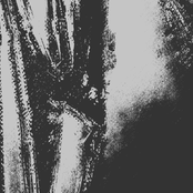 Rigid Lord - Single