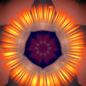 Shamanic Intuition EP