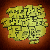 What's This Life For?