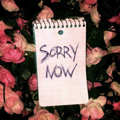 Sorry Now