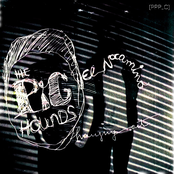 (Ppp_c) El Nocamino / Hanging Out