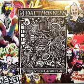 Information Camouflage