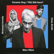 Marc Ribot's Ceramic Dog: Yru Still Here?