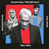 Marc Ribot's Ceramic Dog: YRU Still Here?