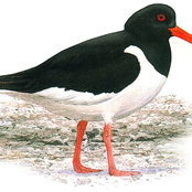 То-то и оно...