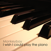 I Wish I Could Play The Piano