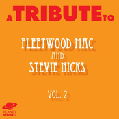 A Tribute to Fleetwood Mac and Stevie Nicks, Vol. 2 ジャケット写真