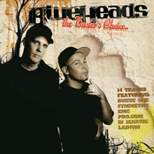 BlueHeads - The Taster's Choice