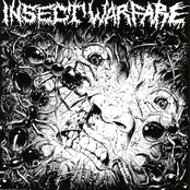 Insect Warfare / Carcass Grinder Split