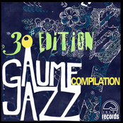 Gaume Jazz Festival